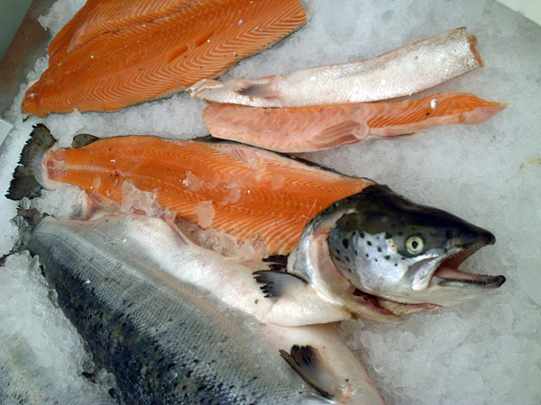 Seafood Fraud
