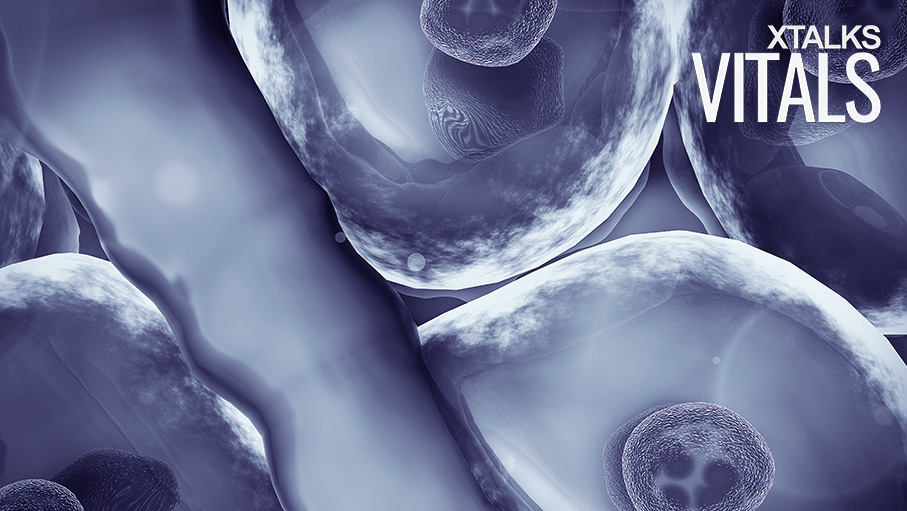 Stem Cells
