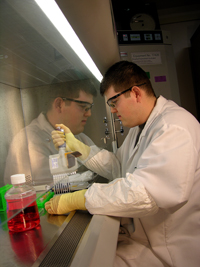 Cell Based Assays
