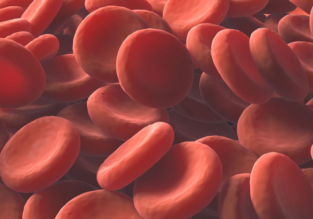 Red Blood Cells