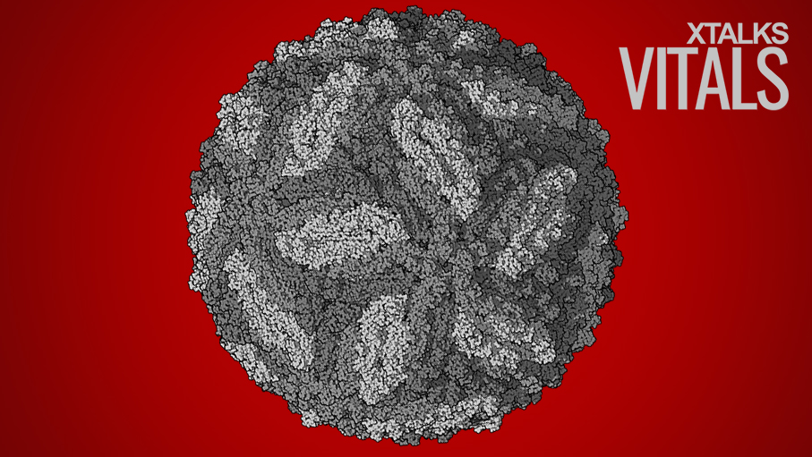 Zika Virus