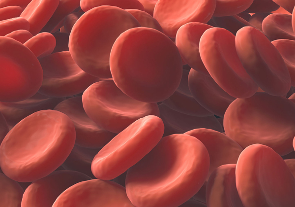 Platelets