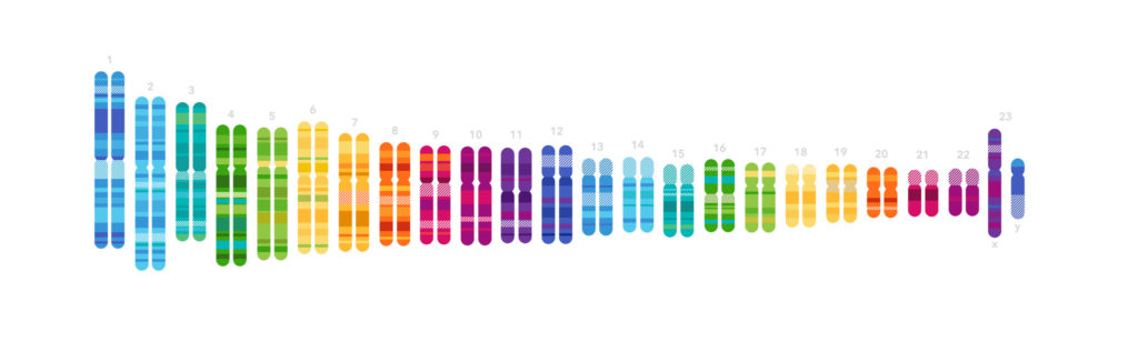 23andMe, row of colorful chromosomes