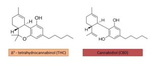 THC vs. CBD molecular structures