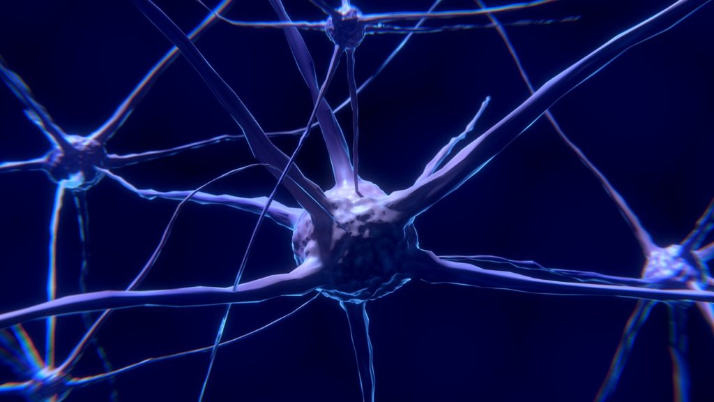 Close-up schematic of neuron (cell body)