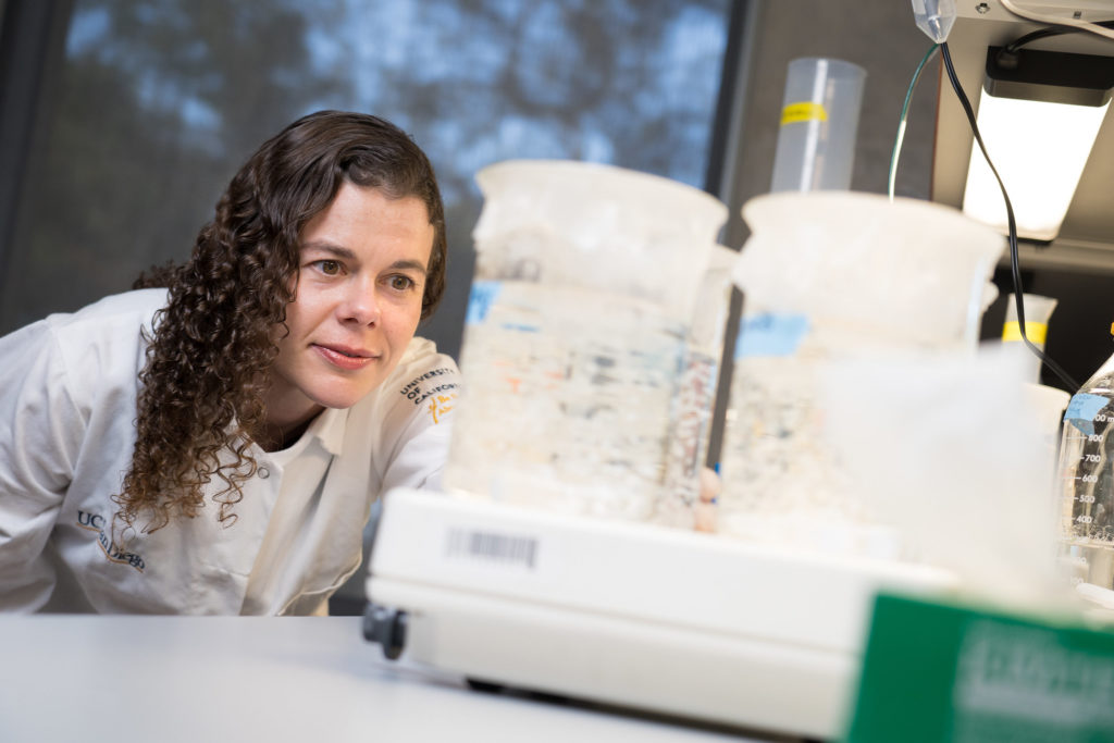 Dr. Karen Christman