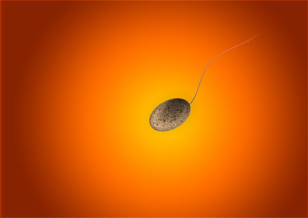 Sperm