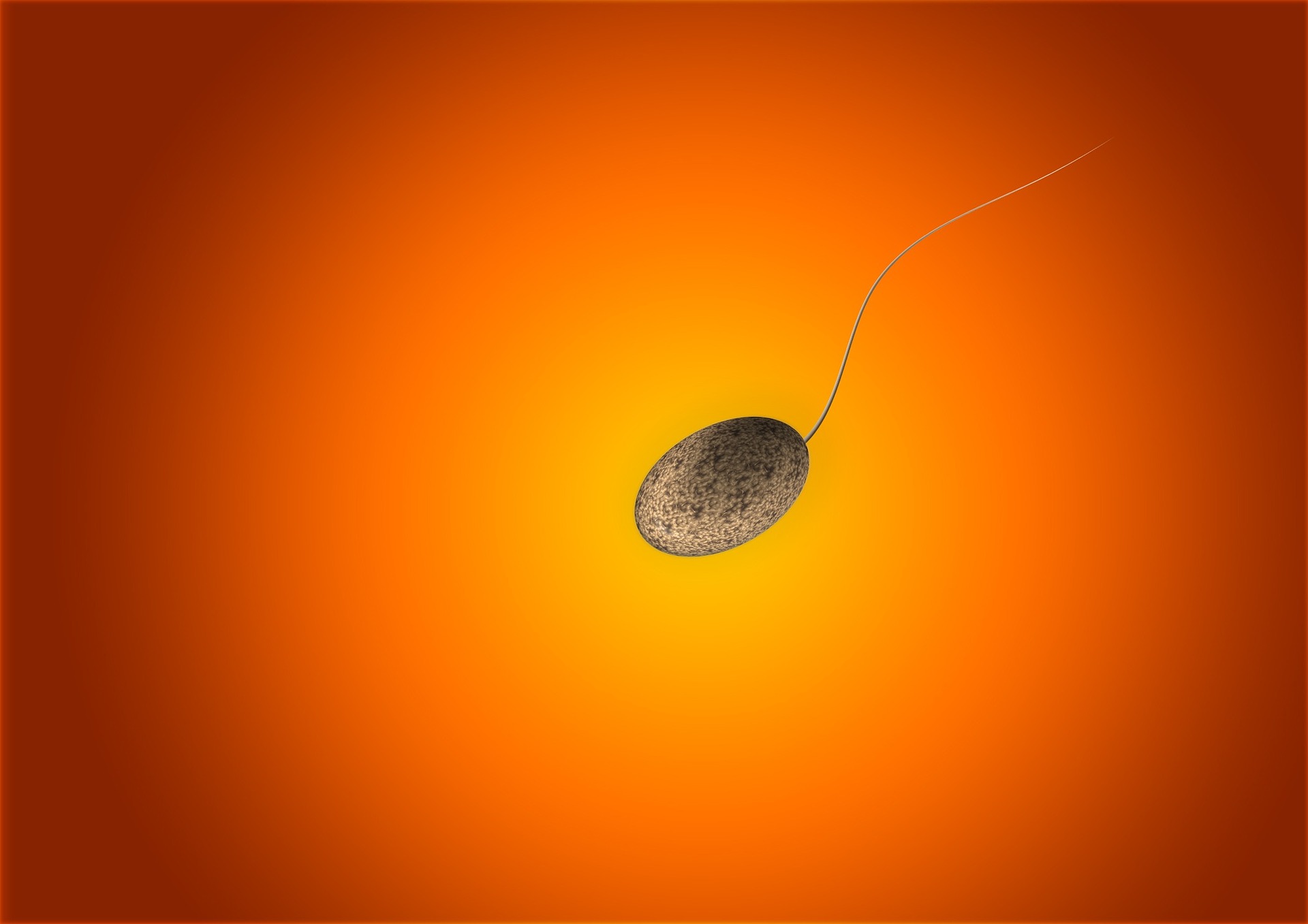 Sperm