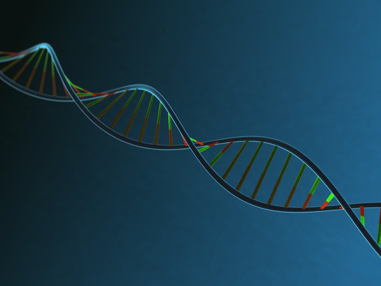 DNA strand