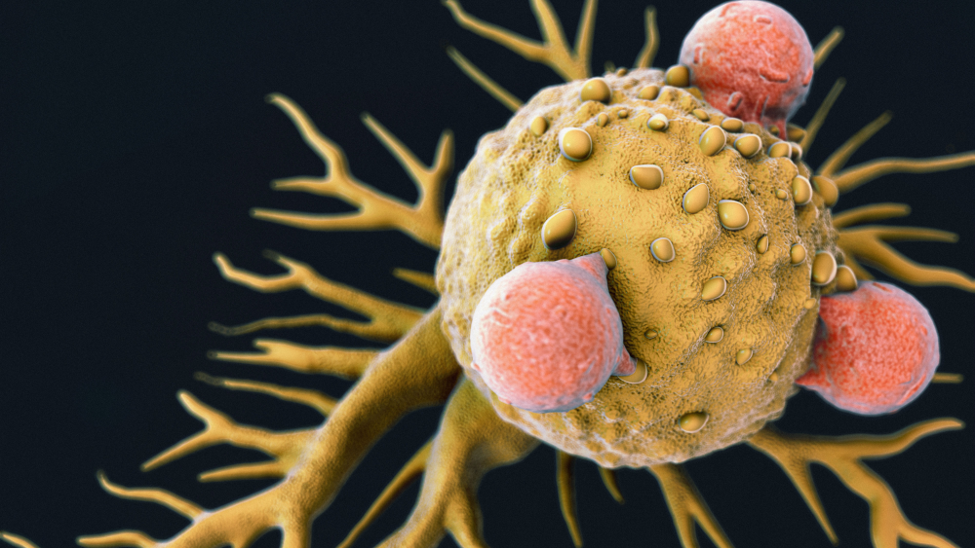 cell