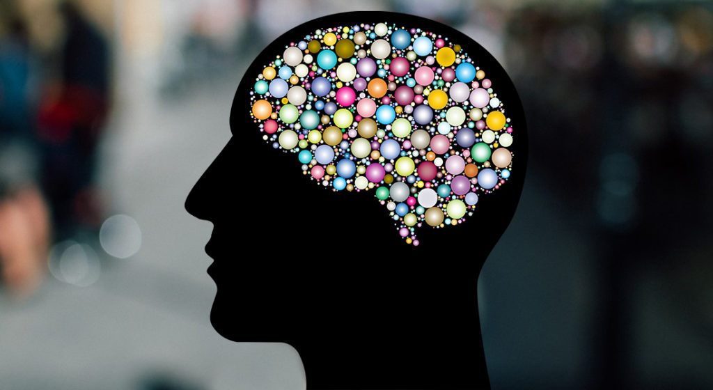 Brain