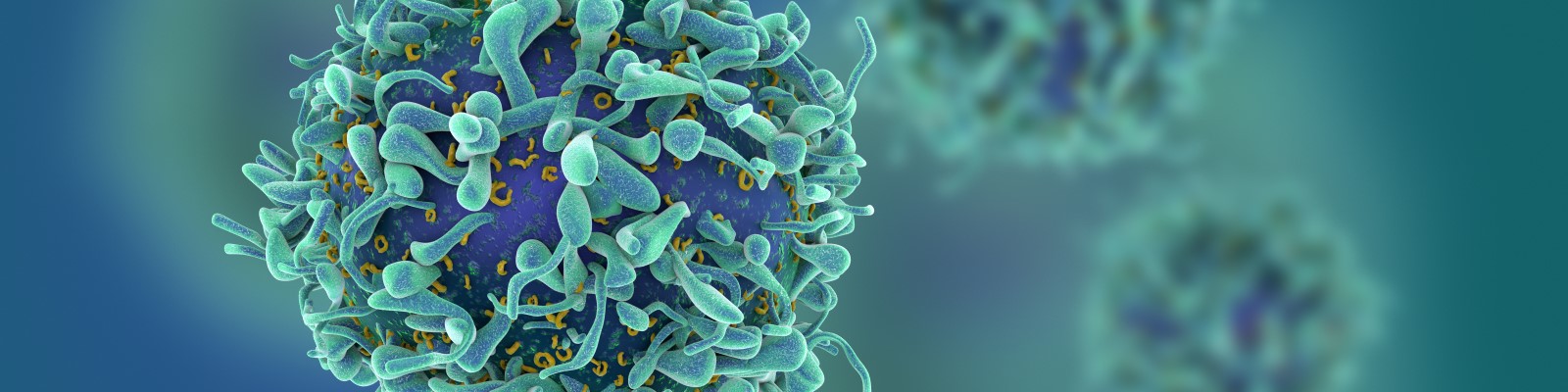 Covance hero image