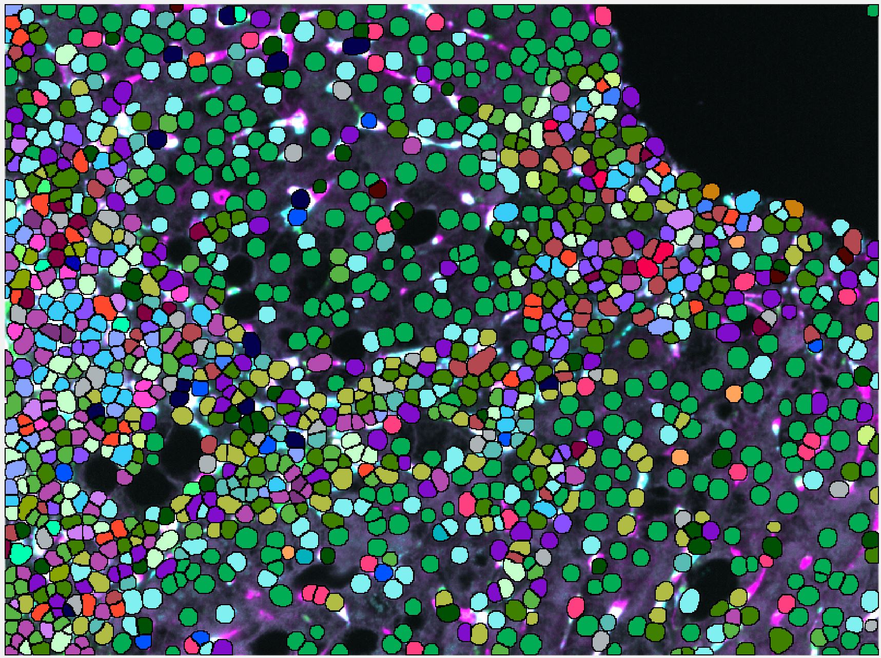multispectral imaging