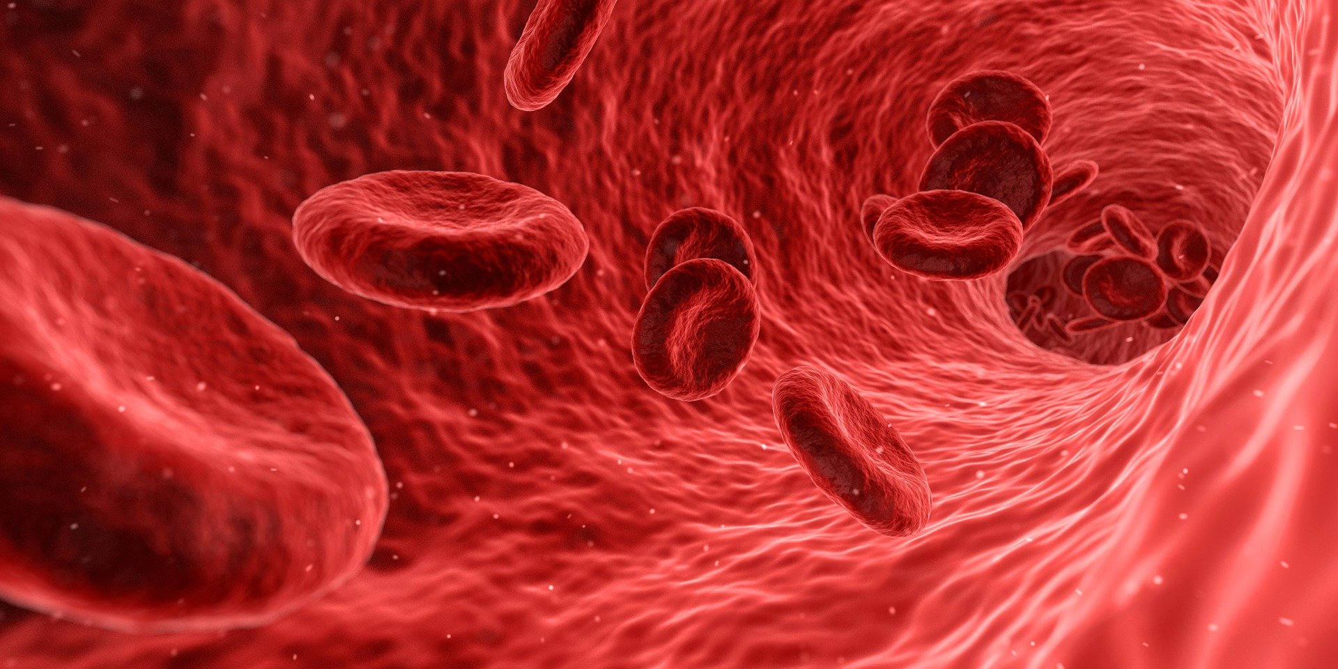 Hemoglobin test