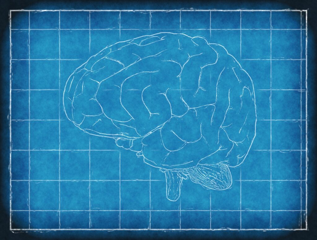 Wearable brain scanner