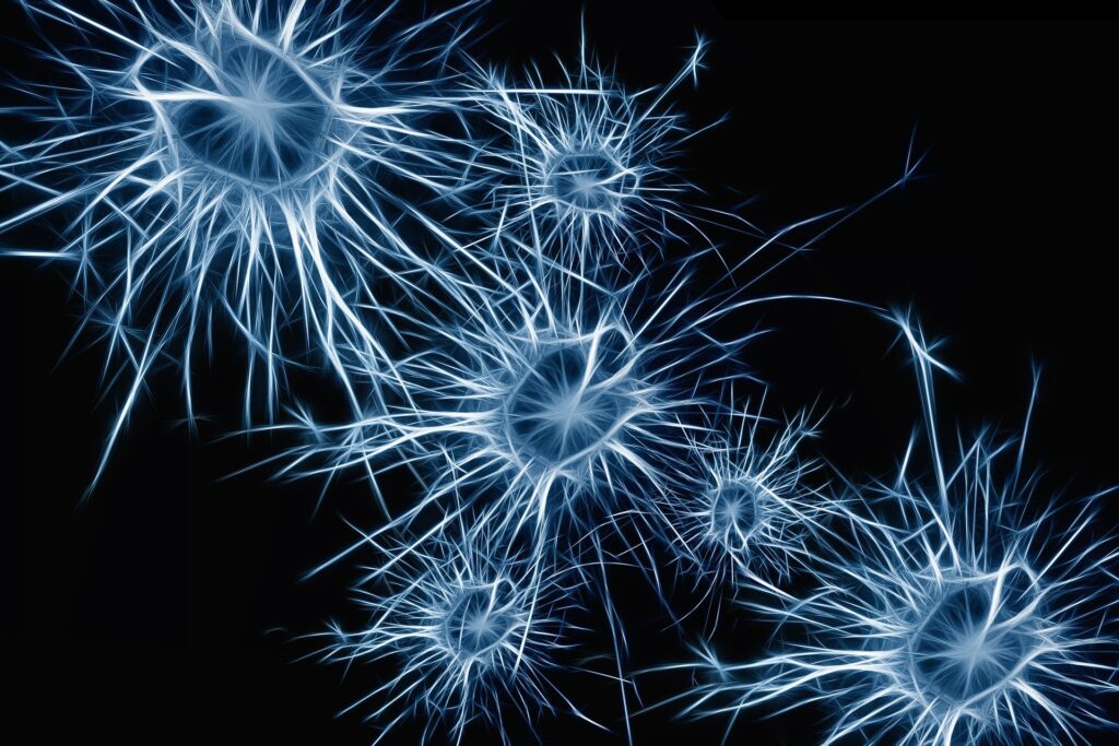 Inhibitory pain neurons