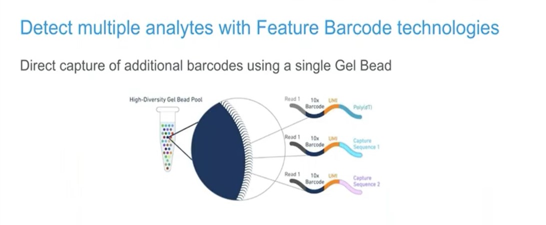 Feature barcoding