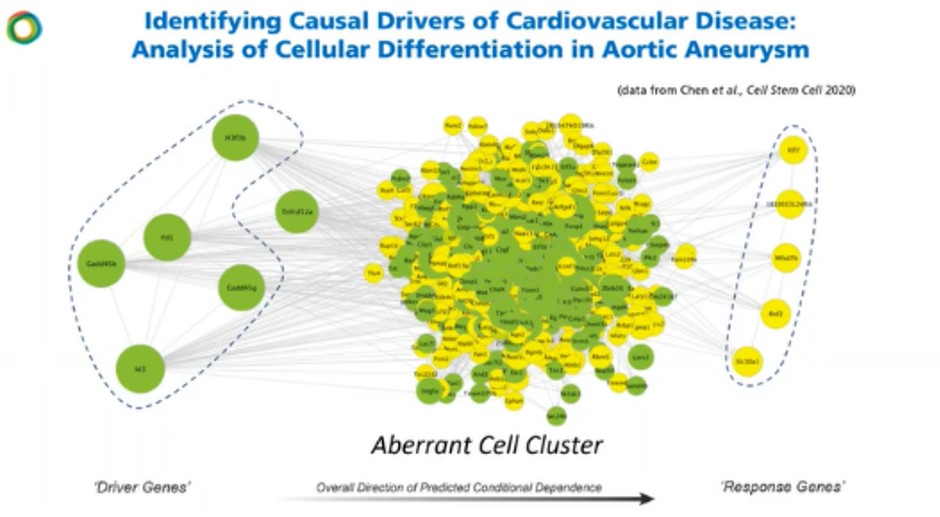 Network analysis