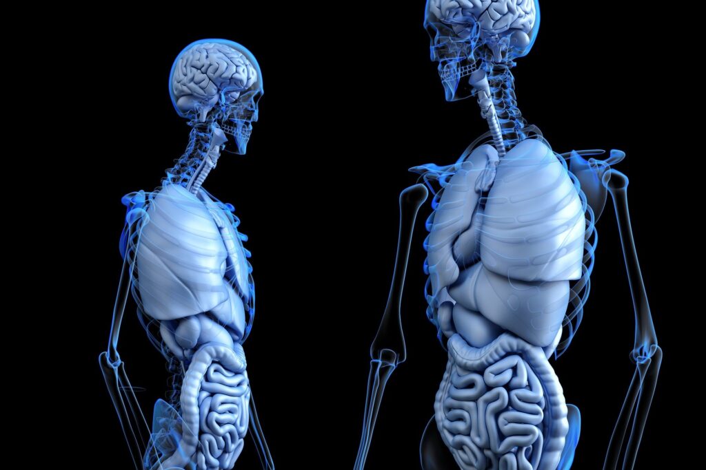 NAFLD and NASH