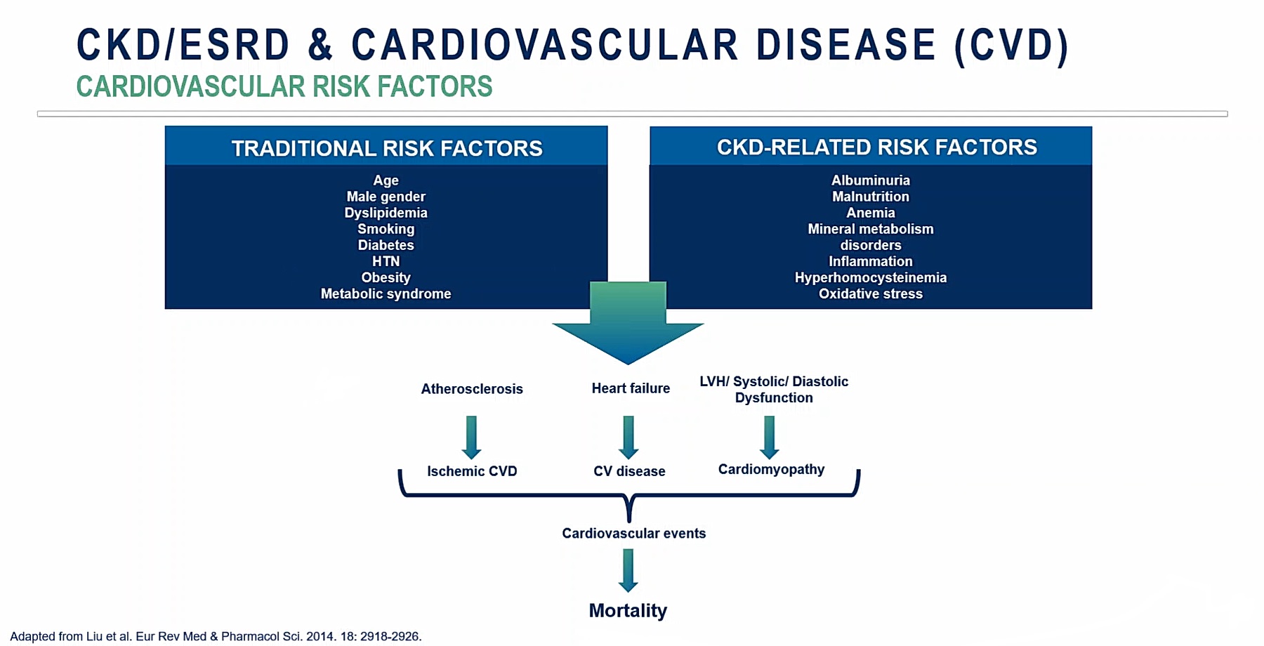 CVD Risk Factors