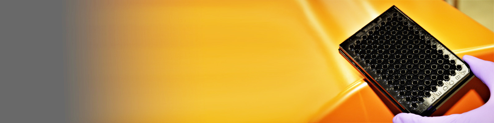 Hero Image Solentim - E2