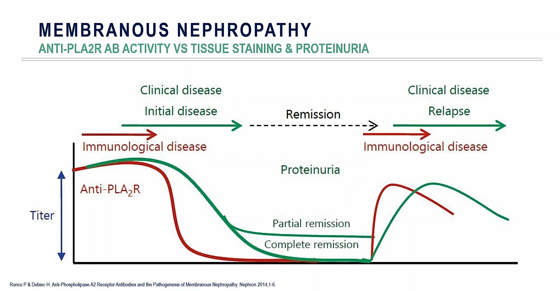 Predicting Membranous Nephropathy Relapse