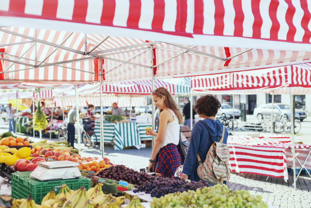 Plant-Based meat and dairy market