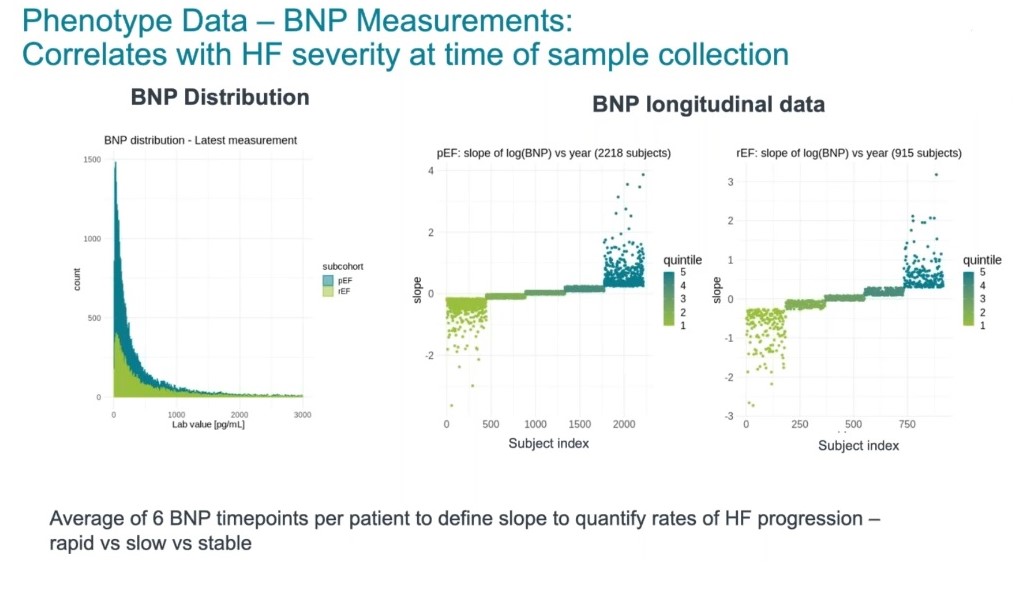 BNP Measurements from Patients with HFpEF and HFrEF