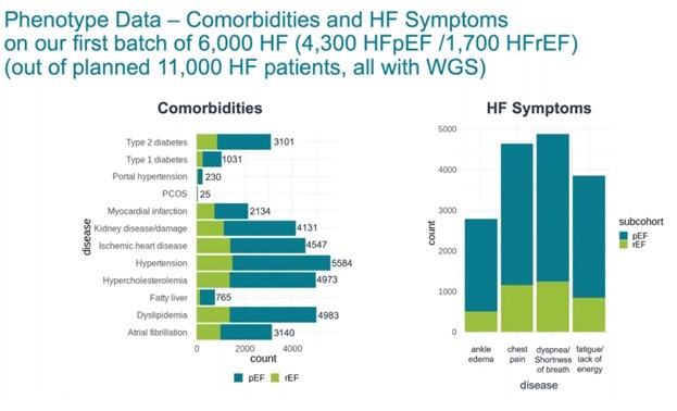 Comorbidities and Heart Failure Symptoms in Patients with HFpEF and HFrEF