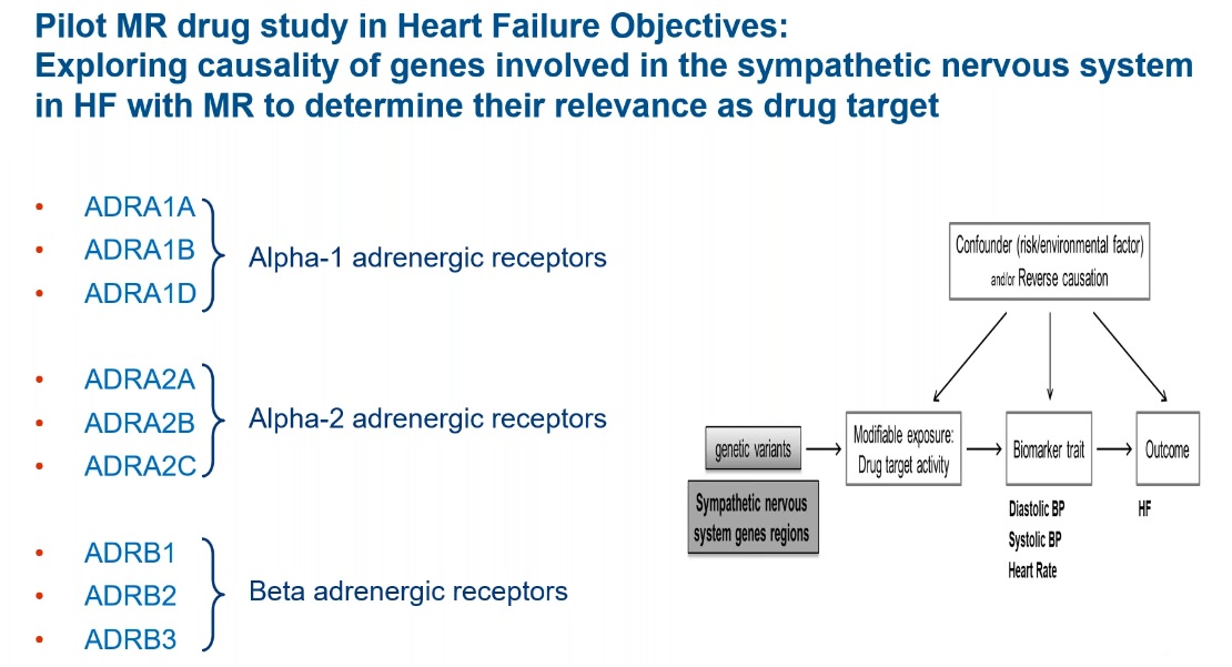 Pilot MR Heart Failure Study