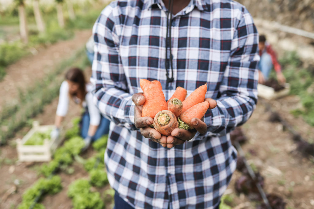 World Food Safety Day