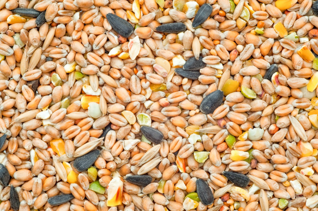 Seed-Based