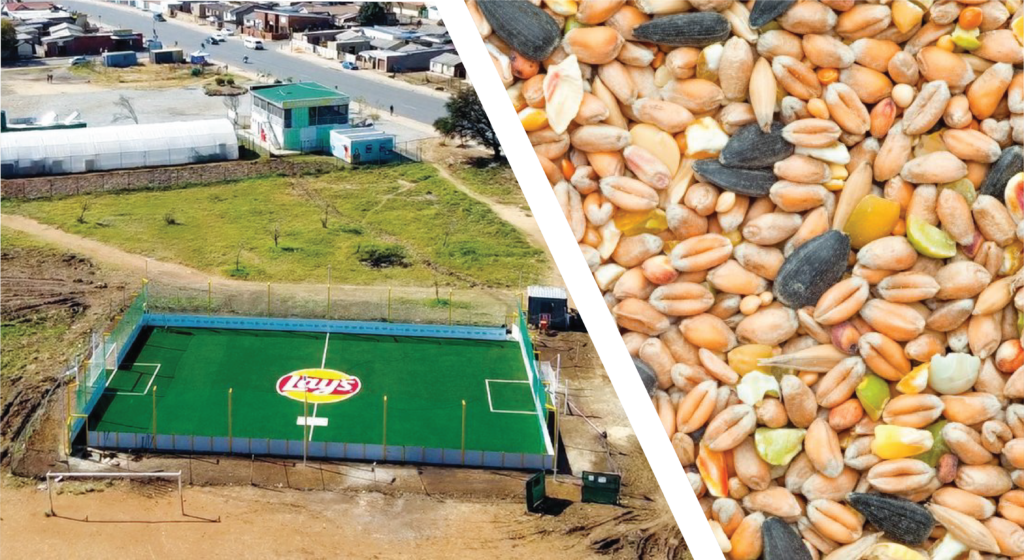 Rise of Seed-Based Foods + Lay’s RePlay Repurposing Packaging