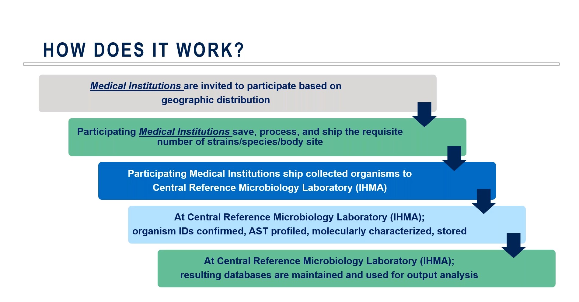 AMR Surveillance Program Workflow