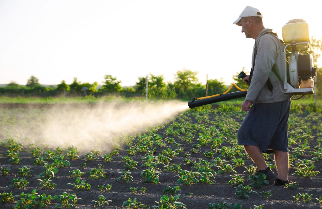 RNA-Based Pesticides