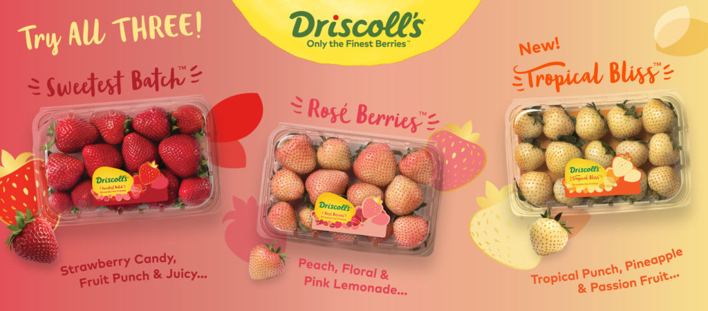 Rose Berries