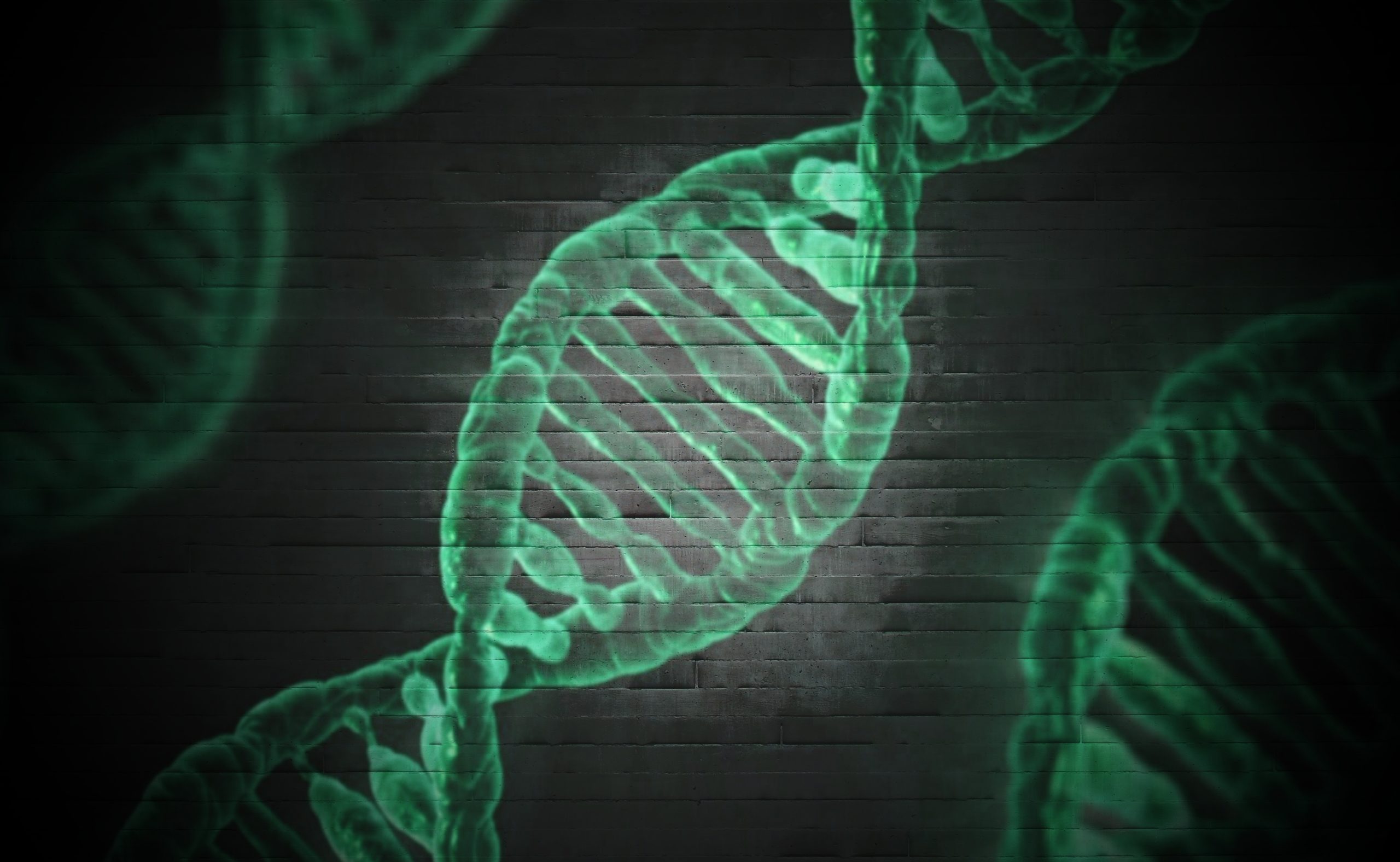 Roctavian gene therapy