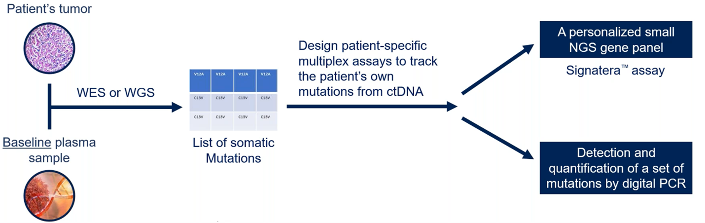 Figure 1: How personalized, targeted assays can be developed to detect somatic mutations from cfDNA. The Utility of Liquid Biopsy in Oncology Clinical Trials