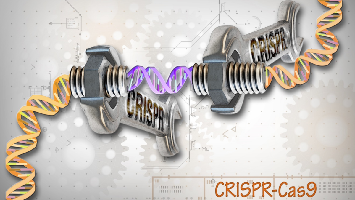 PASTE gene editing