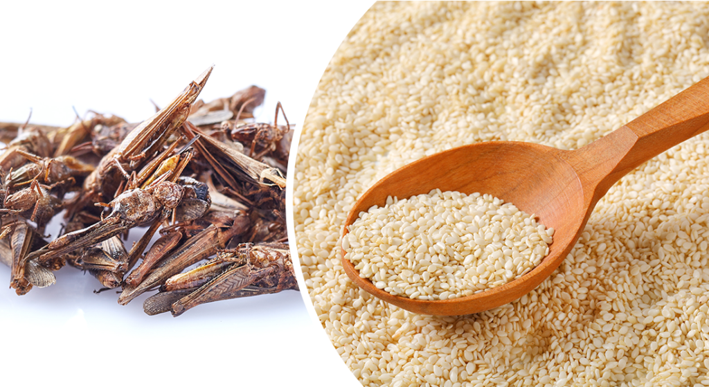 FDA Lists Sesame as a Major Allergen + House Crickets Approved in EU Food Products