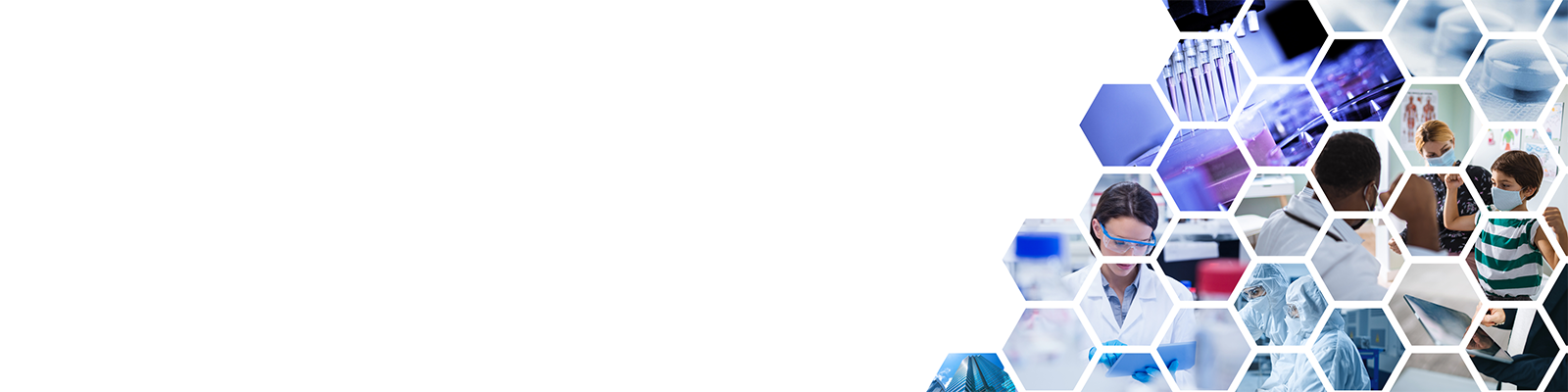 LS-honeycomb-main-hero_1600x400