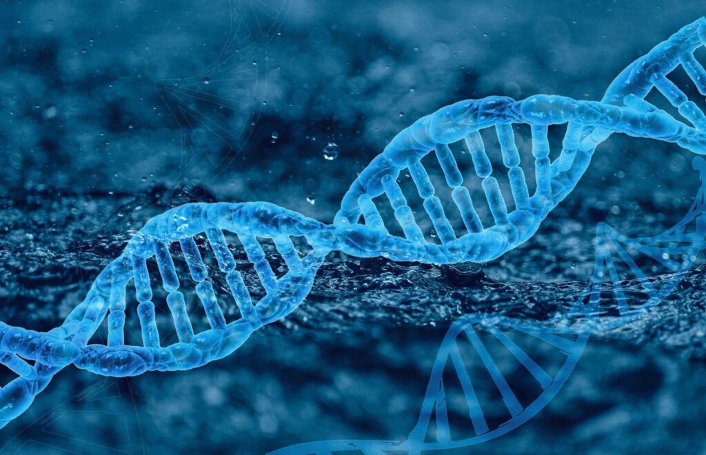 Ultima Genomics and Genome Insight aim to make whole genome sequencing (WGS) more affordable for cancer patients.