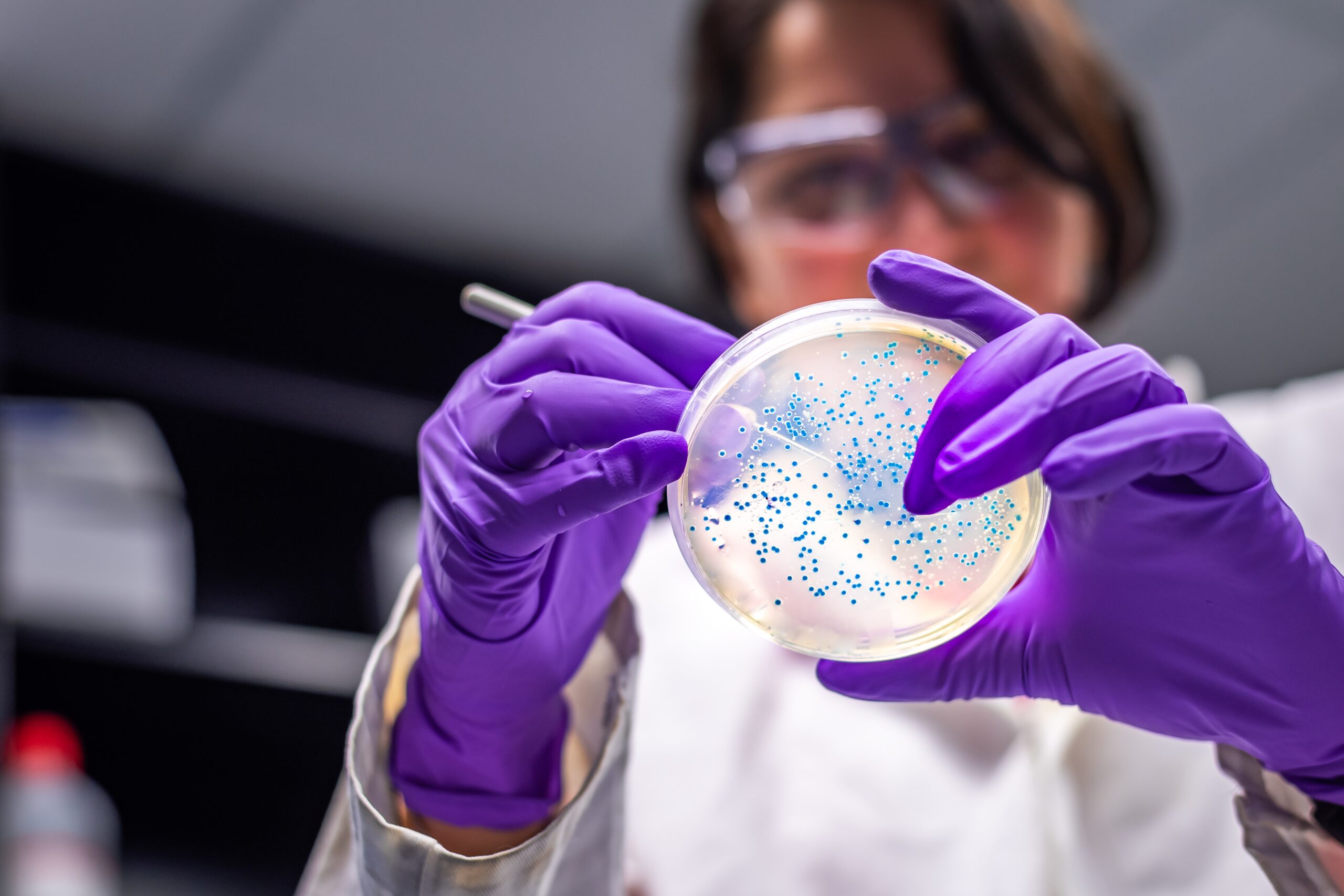 Salmonella test