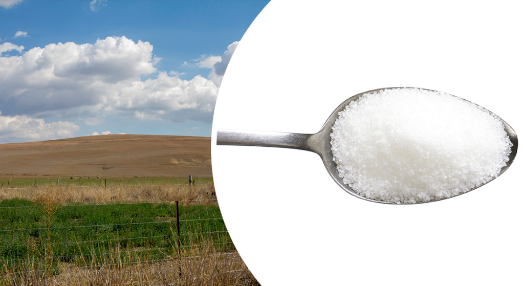 Rising Flour Prices + Tagatose Sugar Alternative