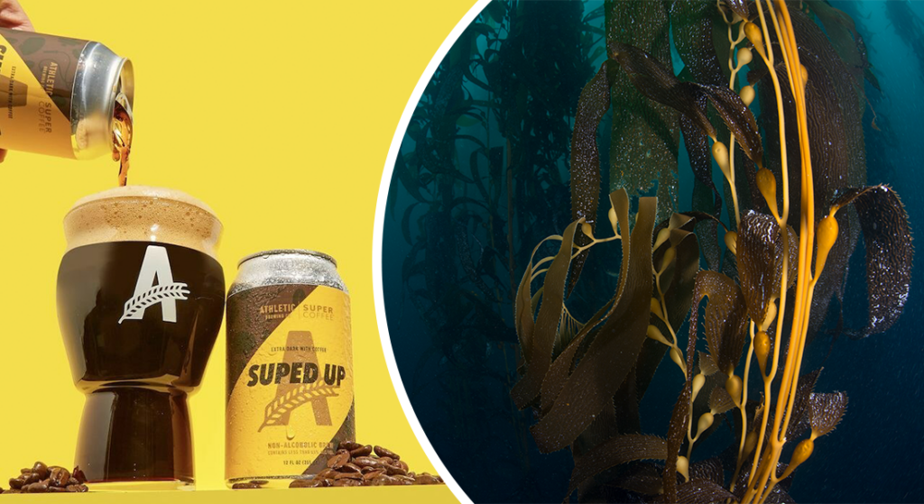 Fastest Growing Beverage Brand in 2023 + Seaweed Cultivation’s Nutritional and Environmental Potential