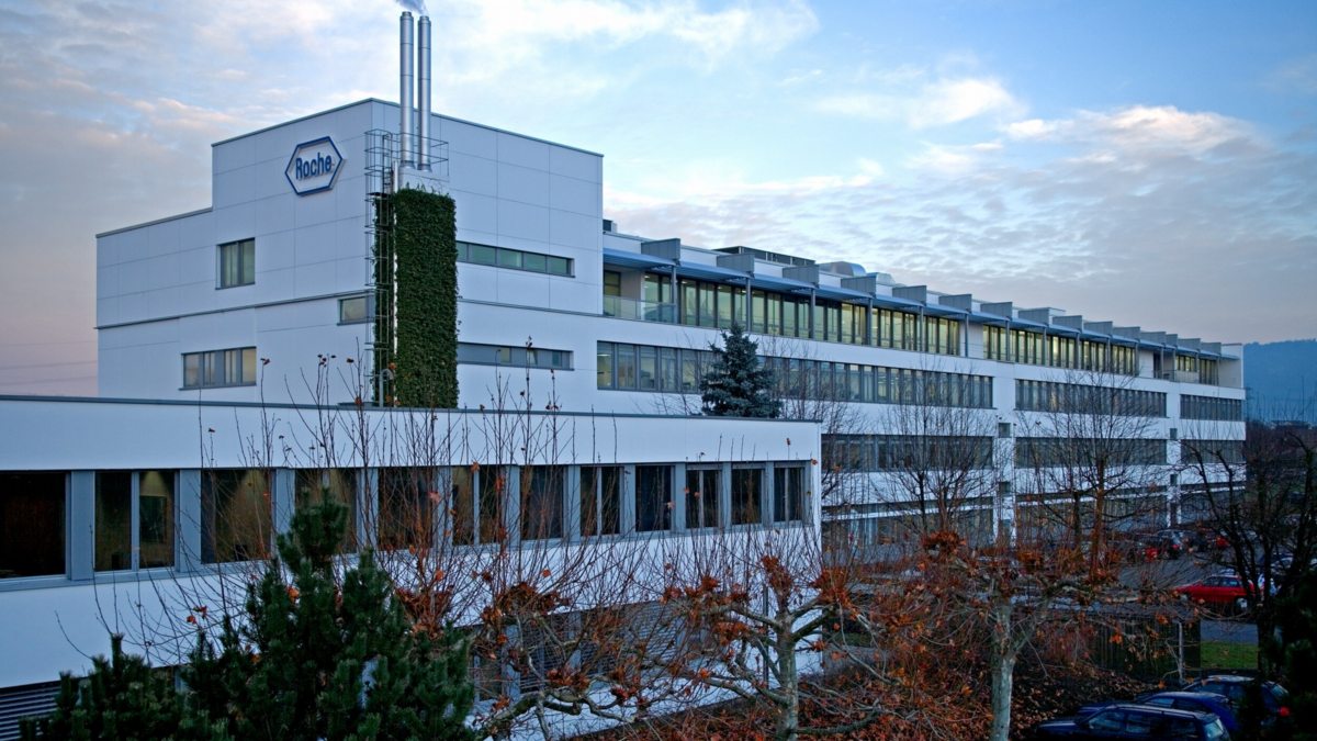 Roche photo