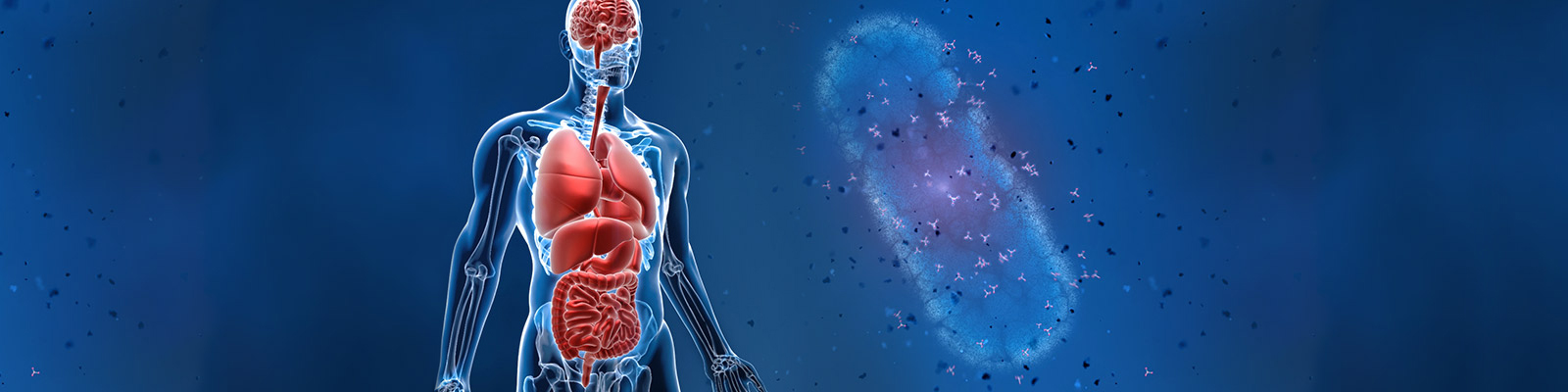 BioIVT_Aug29_Hero-Image