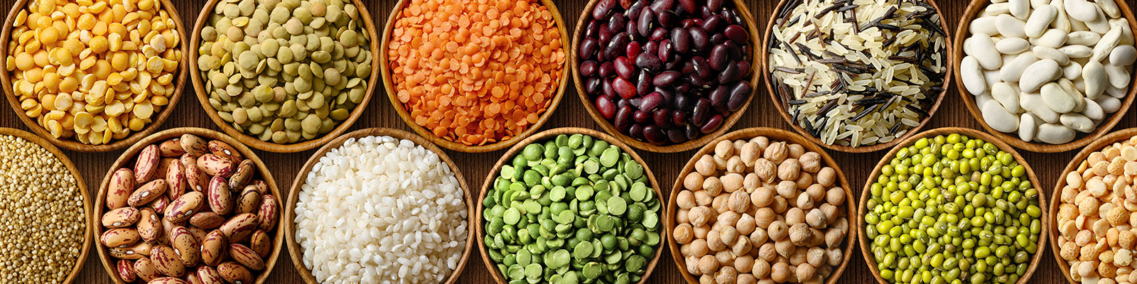 Elementar-webinar-alternative-protein-analysis