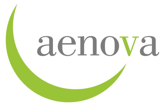 Aenova_logo
