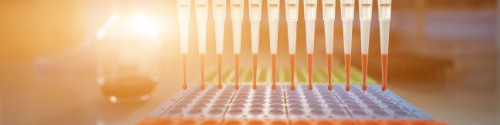 PCR webinar hero image